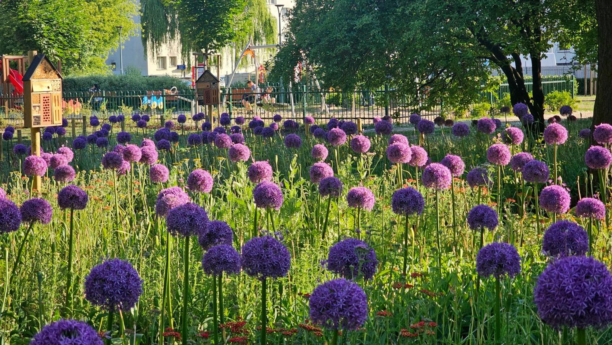 Studio 5 Min Do Centrum Koneser, Blisko Dworzec Wschodni By VisitВаршава Екстер'єр фото